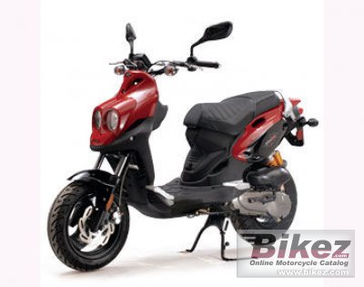 2010 Genuine Scooter Rattler 110 photo